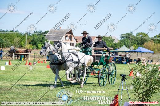 Mintakép 20260822-765
