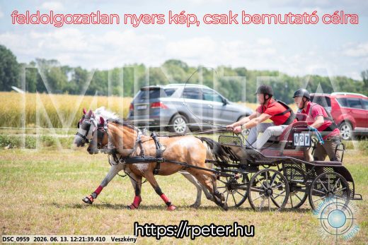 Mintakép 20260613-1701