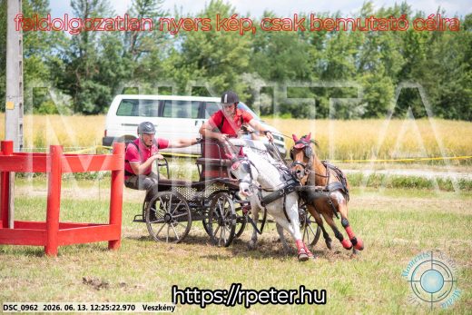 Mintakép 20260613-1703
