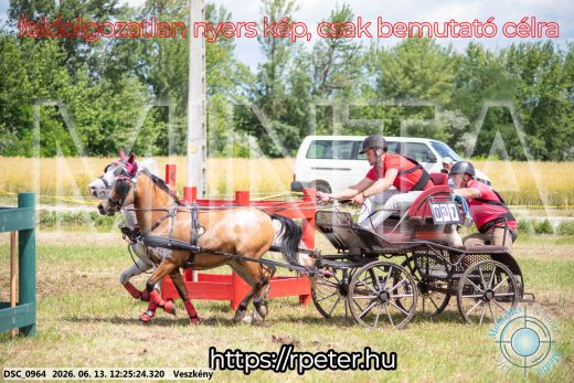 Mintakép 20260613-1705