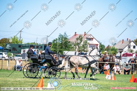 Mintakép 20260822-822