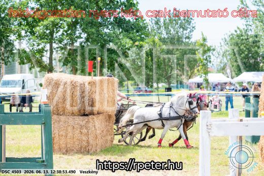 Mintakép 20260613-1706
