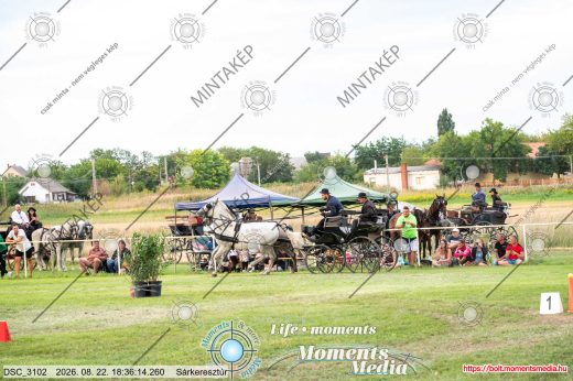 Mintakép 20260822-866