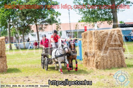 Mintakép 20260613-1711