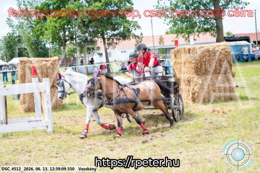 Mintakép 20260613-1712