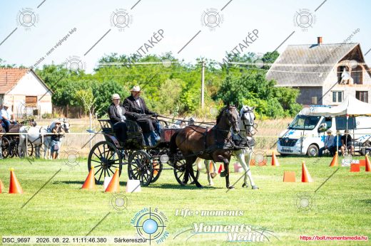 20260822-111146-DSC_9697.jpg