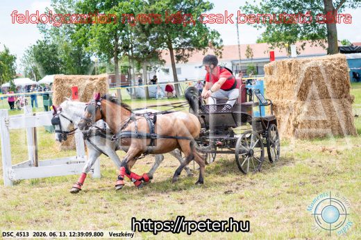 Mintakép 20260613-1713