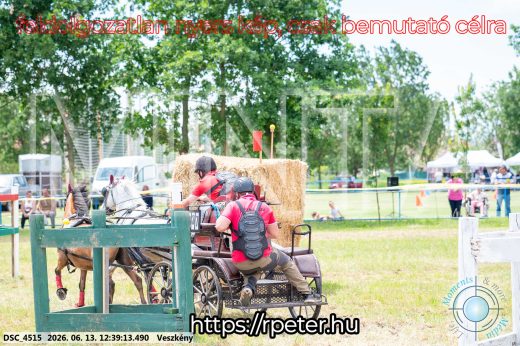 Mintakép 20260613-1715