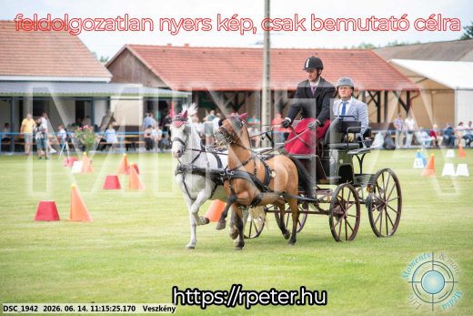Mintakép 20260614-835