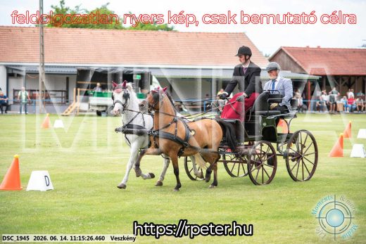 Mintakép 20260614-838