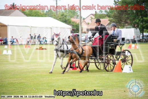Mintakép 20260614-844