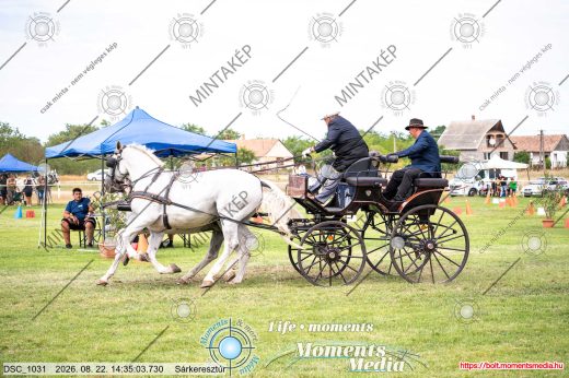 Mintakép 20260822-1046