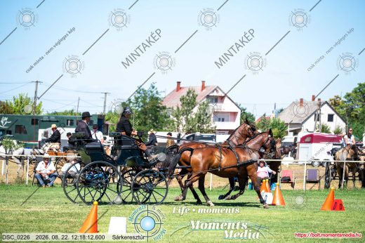 Mintakép 20260822-1089