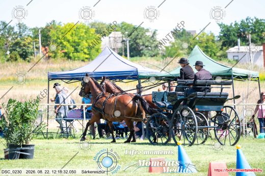 Mintakép 20260822-1091
