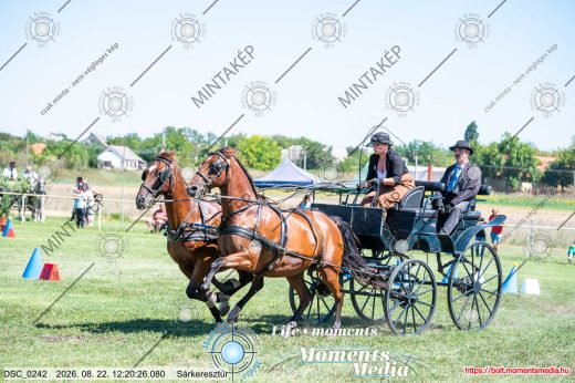 Mintakép 20260822-1098
