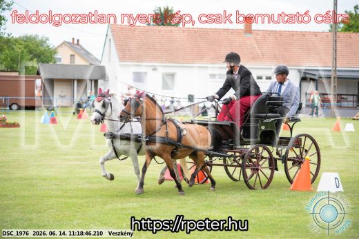 Mintakép 20260614-853