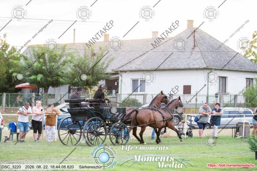 Mintakép 20260822-1130