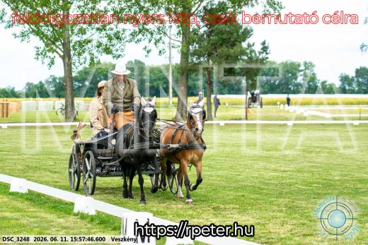 Mintakép 20260611-110