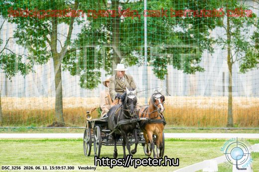 Mintakép 20260611-113