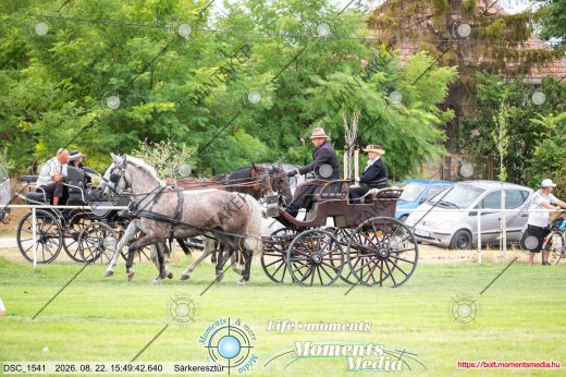 Mintakép 20260822-1226