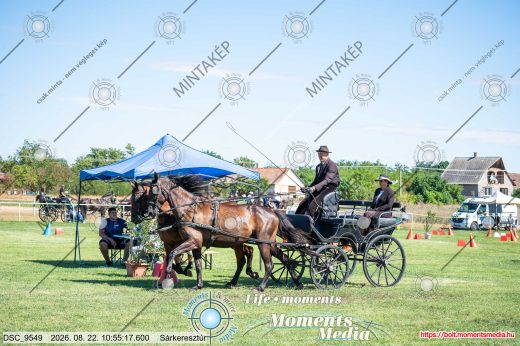 Mintakép 20260822-1247