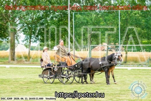 Mintakép 20260611-117