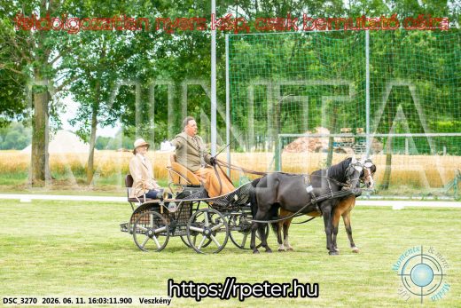 Mintakép 20260611-118