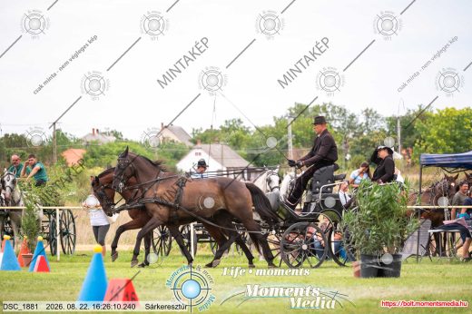Mintakép 20260822-1284