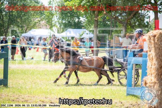 Mintakép 20260613-1717
