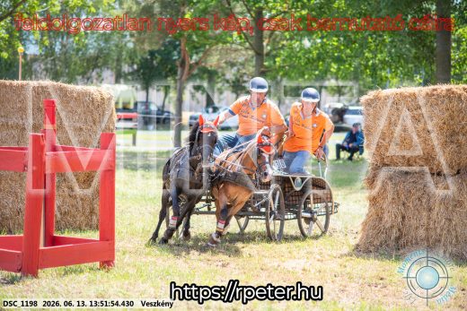Mintakép 20260613-1720