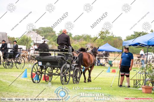 Mintakép 20260822-1318