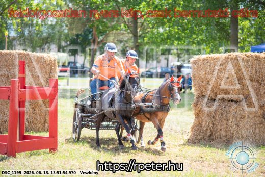 Mintakép 20260613-1721