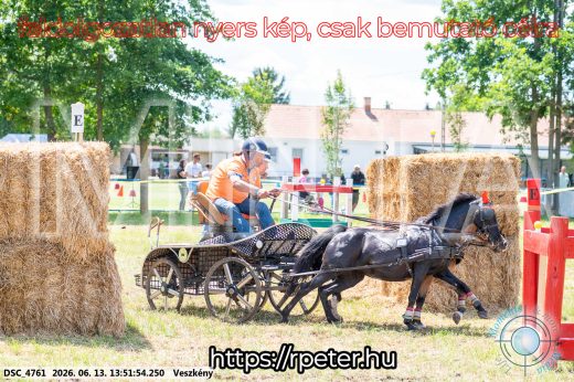 Mintakép 20260613-1723