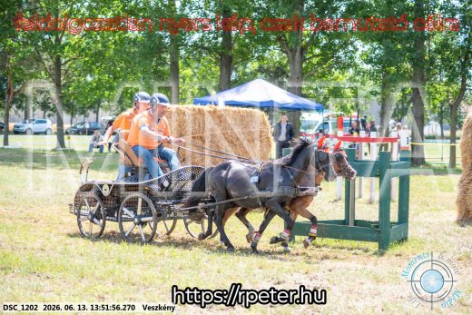 Mintakép 20260613-1727