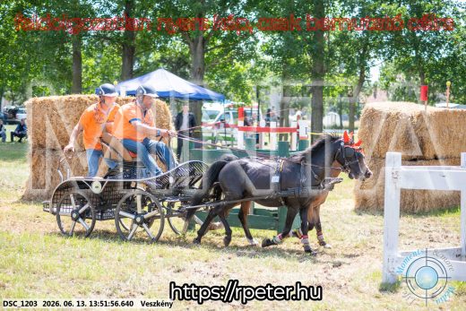 Mintakép 20260613-1728