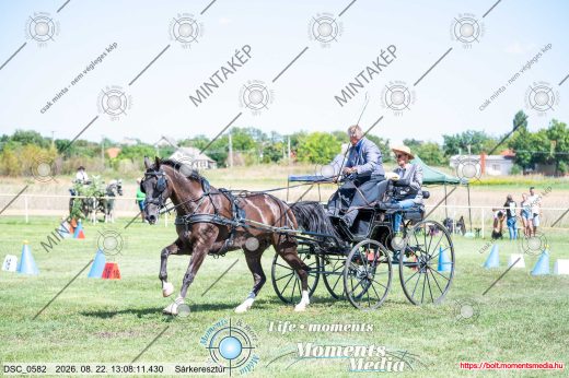 Mintakép 20260822-1418