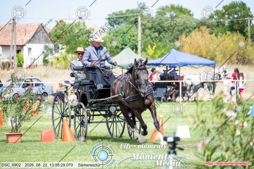 Mintakép 20260822-1431