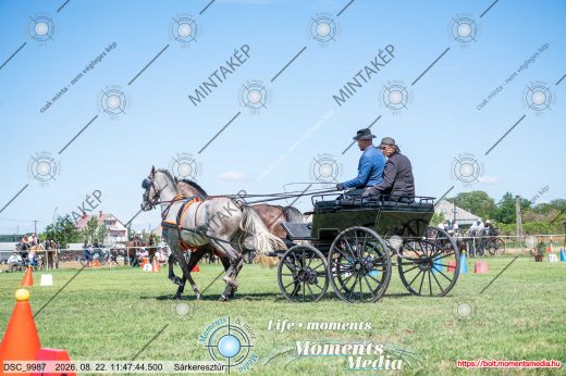 Mintakép 20260822-1444