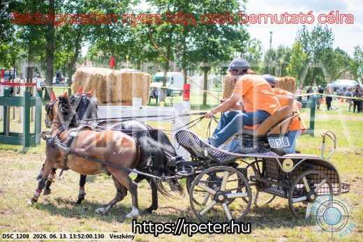 Mintakép 20260613-1733