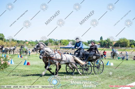 Mintakép 20260822-1457