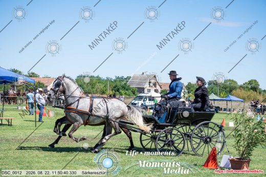 Mintakép 20260822-1458