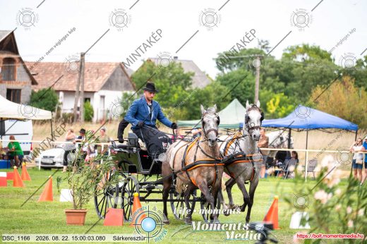 Mintakép 20260822-1466