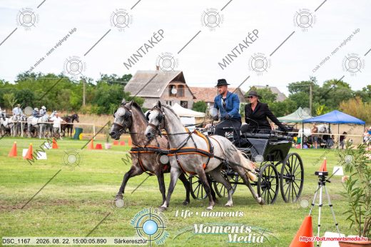 Mintakép 20260822-1467
