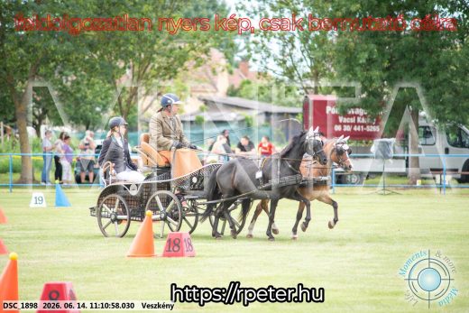 Mintakép 20260614-858