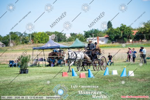 Mintakép 20260822-1519