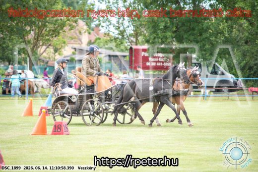 Mintakép 20260614-859