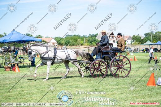 Mintakép 20260822-1528