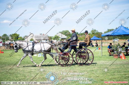Mintakép 20260822-1529