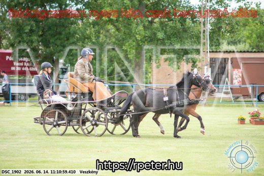 Mintakép 20260614-861