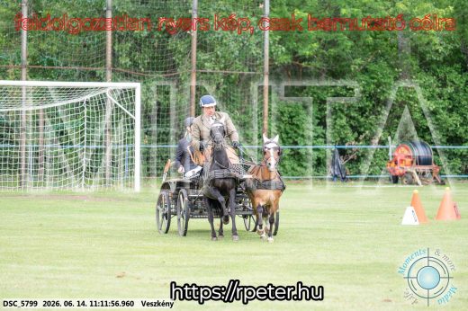 Mintakép 20260614-864